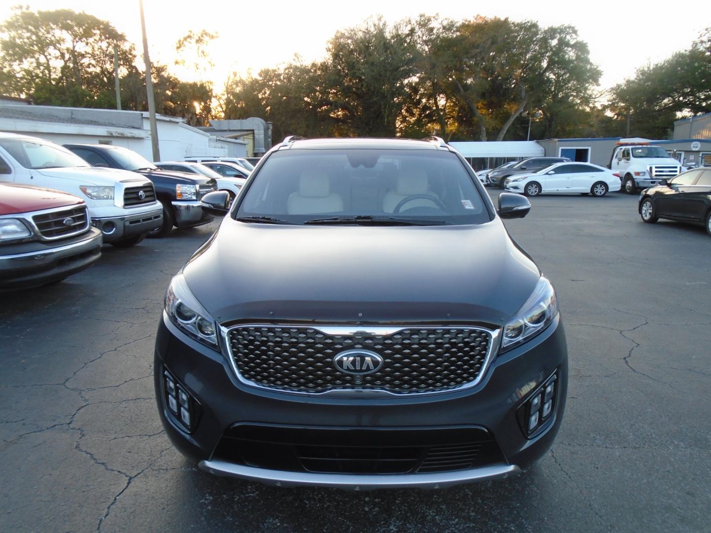 2017 Kia Sorento (5XYPK4A54HG) , located at 6112 N Florida Avenue, Tampa, FL, 33604, (888) 521-5131, 27.954929, -82.459534 - Photo#3